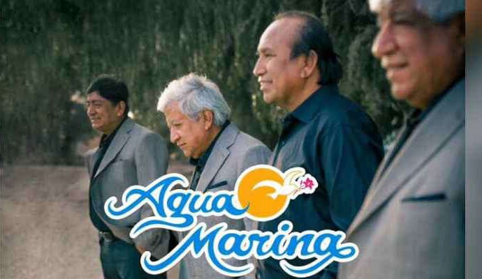 Agua Marina: why did you reject having a miniseries like Grupo 5 and Nectar?