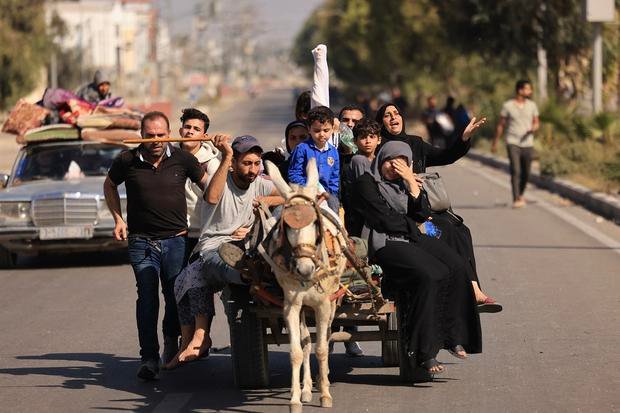 Palestinians fleeing Gaza City to southern areas travel on a road on November 7, 2023. (Photo by MAHMUD HAMS / AFP)