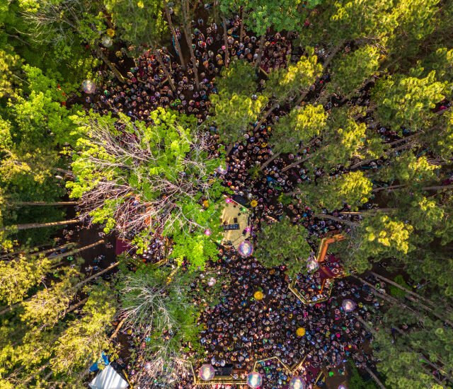 ef2025 0619 200011 cw alive