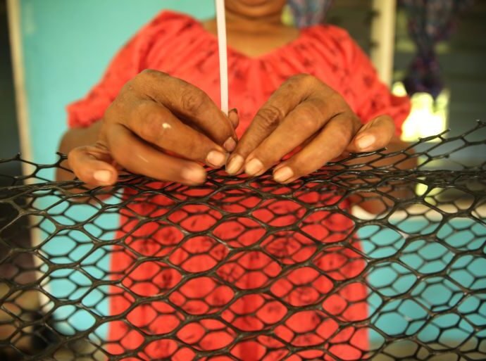 Fiji Pearl Oyster ©Melonie Ryan6 1763010055