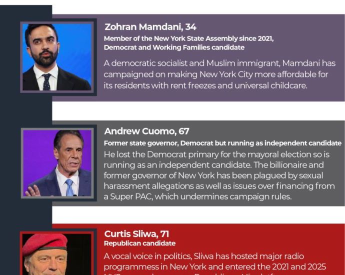 INTERACTIVE NY ELECTION CANDIDATES 1762192064