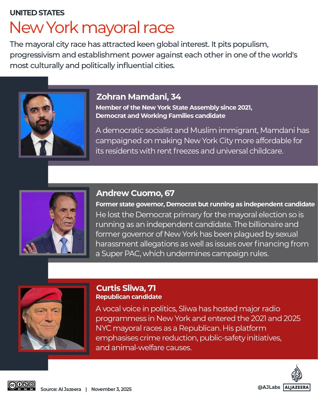 INTERACTIVE NY ELECTION CANDIDATES 1762192064