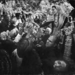 GettyImages 90564293 1777192185